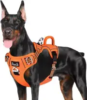 No Pull Harness for Medium Dogs