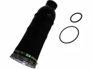 Front Air Spring For 01-05 Audi A6 Quattro Allroad WS68B9 (for: Audi)