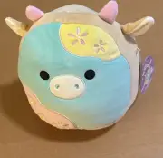Squishmallow Cornelius the Cookie Cow from Easter 2025 11"