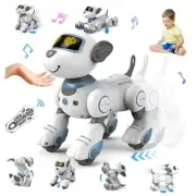 Remote Control Robot Dog Toy for Kids - Interactive Touch & Follow 17 Blue