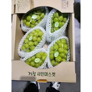 麝香葡萄 韓國🇰🇷原裝4公斤  燦爛陽光玫瑰麝香葡萄