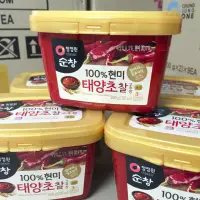 在飛比找蝦皮購物優惠-N-預購-韓國 大象 韓式辣椒醬 500g