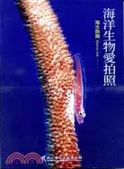 在飛比找三民網路書店優惠-海洋生物愛拍照：海水魚類