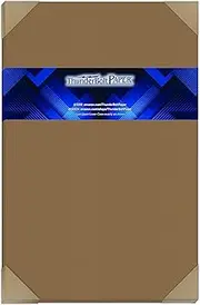 50 Brown Bag Colored Cardstock Paper Sheets - 11 X 17 inches Tabloid|Ledger|Booklet Size - 80 lb/Pound Cover|Card Weight 216 GSM - Natural Kraft Fiber with Darker Specks - Slightly Rough Finish