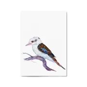 Kookaburra Australian Bird Nursery Painting Wall Art