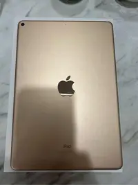 在飛比找Yahoo!奇摩拍賣優惠-Apple iPad Air 3 wifi 版256G 金色