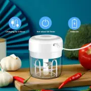 Cordless USB Charging Electric Garlic Chopper BPA-Free Mincer Crusher for Salad