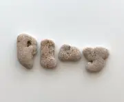 Natural Letter Shaped PLAY Rocks Beach Stones pebble art craft hag holey word US