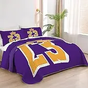 Allenjoy Queen Size Purple Warriors Quilt Bedspreads Basketball Legends Bed Set Bedding Coverlet Fabric Washable with 2 Pillow Shams SC00296-007