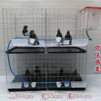 在飛比找Yahoo!奇摩拍賣優惠-下殺-4位鴿籠鴿子籠子配對繁殖籠家用大型鴿子籠肉鴿籠白鴿籠4