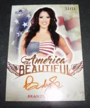 2017 Benchwarmer BRANDY GRACE America the Beautiful Copper Foil Auto/15 PLAYBOY