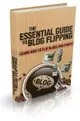 The Essential Guide To Blog Flipping