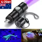 LED UV Flashlight 365 nm Inspection Lamp Torch Blacklight Light USB Rechargeable