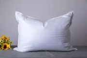 ArcticNorthDown Standard Goose Down Feather Hotel Collection Bed Pillows for...