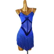 Latin Salsa Dance Dress Tassel Women's Performance Training Sleeveless Rumba Dancewear Chacha Samba Practice Clothes