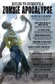 FANTASY POSTER Rules to Survive a Zombie Apocalypse