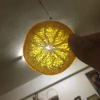 在飛比找蝦皮購物優惠-【尋寶】🍊蜜漬橙片🍊法式甜點