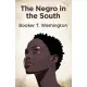 The Negro In The South