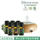 【Bonnie House 植享家】茶樹精油5ml*2+尤加利精油5ml*2+甜橙精油5ml*2+月之湖賞香儀