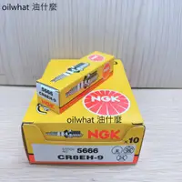 在飛比找蝦皮購物優惠-油什麼 NGK CR8EH-9 公司貨 火星塞 CB400 