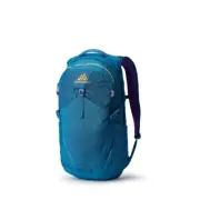 Gregory Nano 20 Backpack - Icon Teal