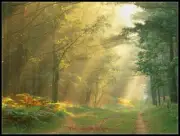 Chart Needlework Craft DIY - Counted Cross Stitch Patterns - Sun Rays in Forest
