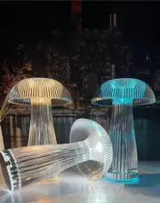 Remote And Touch Control Acrylic LED Decor RGB Lamp