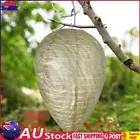 Wasp Trap Paper Hornet Trap Yellow Jacket Trap for Wasps Hornets Yellow Jackets