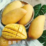 《 鮮果綠 》『現貨滿額免運』金煌芒果 5斤/10斤