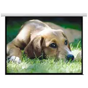 Brateck 135" Motorised Projector Screen