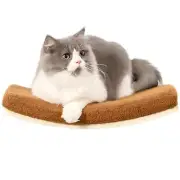 Curved Cat Wall Shelves and Perches Floating Cat Wall Bed Furniture with Comf...