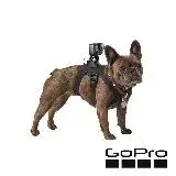 在飛比找遠傳friDay購物精選優惠-GoPro Fetch 寵物胸背帶 ADOGM-001 正成