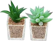FUNOMOCYA 2pcs Artificial Succulent Plant Pots Realistic Faux Bonsai Decor for Home Office No Watering Needed Adds Atmosphere to Any Space