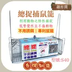 𓃴鋤籽間𓃴總捉捕鼠籠(S40) 無須誘餌 不傷動物 🇹🇼台灣製造 捕鼠籠 小型動物 雙門捕鼠器 專利設計雙門補鼠籠