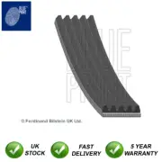V Ribbed Drive Belt Blue Print Fits Ford Ka Fiat 500 Panda Grande Punto