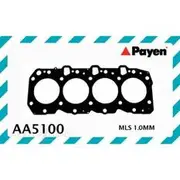 Payen Head Gasket - AA5100