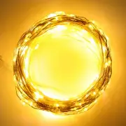 20m 200LED String Lamp Warm White Indoor Outdoor 8 Modes Decorative Light Wit US