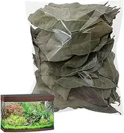 Betta Shrimp Leaves – 50 Pieces Natural Almond Leaves for Betta Fish | Effective Ph Balancer for Aquariums | Turtle Longan to Treat Rotten Skin Turtles & Support Aquatic Health