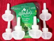 6 Glade TREE LIGHTING WONDER PLUGINS Fir Pine Spruce Eucalyptus Timeless oil NEW