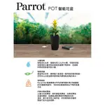 法國派諾特PARROT POT 智能花盆自動澆水懶人電子花盆 手機APP監控