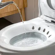 Nmaov Foldable Sitz Bath For Toilet,seat Sitz Bath Basin For Pregnant Women,hemorrhoids,elderly,fits Universal Toilets And Commode Chair Gray