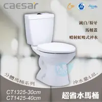 在飛比找蝦皮購物優惠-含稅附發票《中部免運》CAESAR凱撒CT1325-30cm