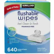 Kirkland Signature Flushable Wipes 640 Count Wet Moist Ultra Soft Towelettes