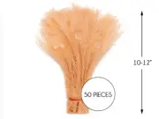 50 Pieces – Peach Pink Bleached & Dyed Peacock Tail Eye Wholesale Feathers (Bulk