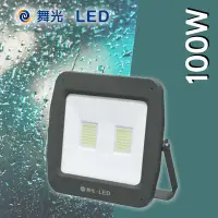 在飛比找Yahoo!奇摩拍賣優惠-舞光【220V單電壓-100W】LED戶外投射燈 阿波羅泛光