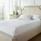 Down Alternative Waterproof Cooling Mattress Protector - Hypoallergenic (Queen)