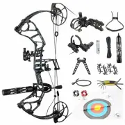 2019 TOPOINT DAIBOW Acuity High Speed Hunting Compound Bow IBO350 60-70lb