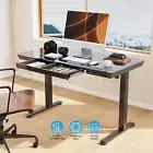 Standing Desk Electric Sit Stand Up Table Height Adjustable Motorised Computer