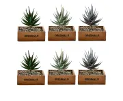 6pcs Artificial Prickly Aloe Succulents for Home Decor
