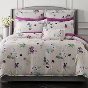 Schlossberg Freya Beige Flanged Pillow Sham, King